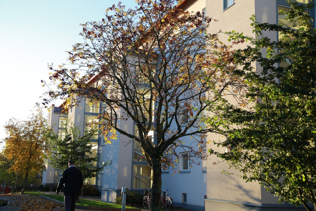 Kuvituskuva kaupungista.